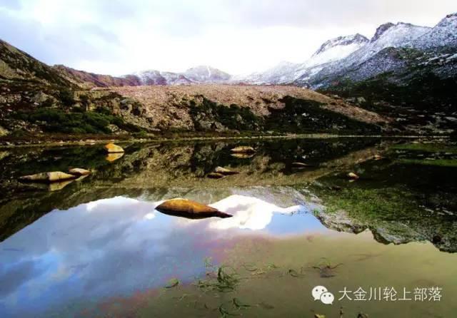 微信视频号怎么看关注的人-全新知识问答网页,解答你的疑惑